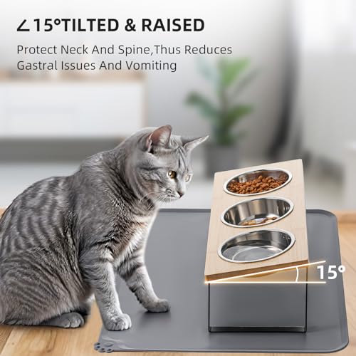 Upgraded Elevated Cat Bowls with Food Mat