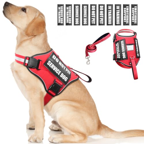 Service Dog Harness and Leash Set (Large / Red)