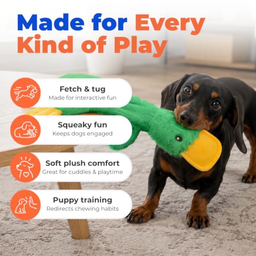 Interactive Squeaky Dog Toy (aCrinkle Duck (Light Green) / Large)