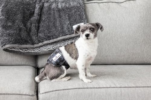 Washable Belly Bands for Male Dogs (X-Small (11-13") / Camo)