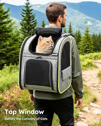 Cat Backpack Expandable (Grey / 12.6"L x 10.2"W x 16.5"H)