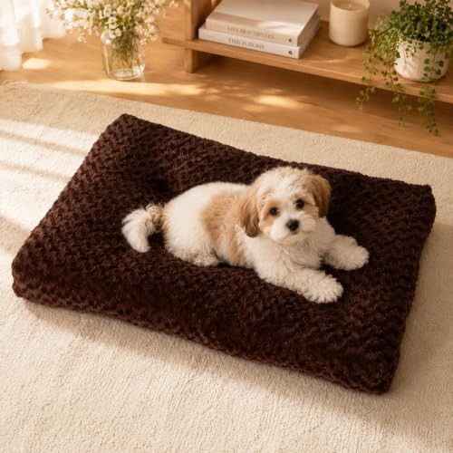 Dog Bed Medium Size (Coffee / 29"L x 21"W x 3"Th)
