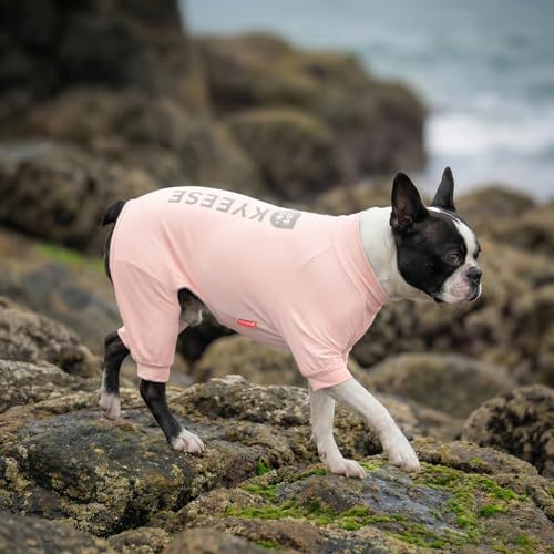 UPF50+ Dog Sun Shirt for Small Dogs Cooling Onesie for UV Protection (Large (15-22lbs) / Pink)