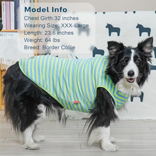 2Pack Cotton Dog Shirt for Large Dogs Soft Striped Tank Top (XXX-Large (55-75lbs) / 06# 2Pack (Blue+Striped))