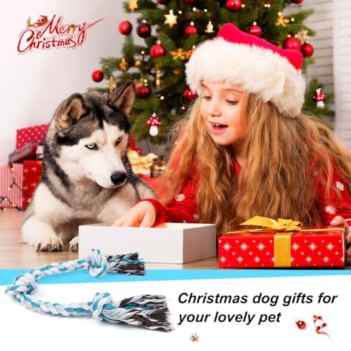 Dog Rope Toys (Blue / Medium)