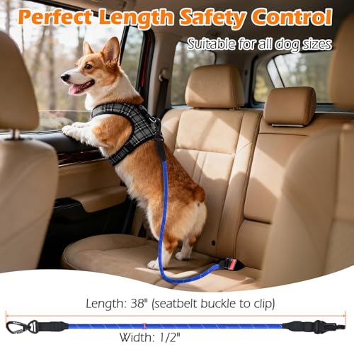 Dog Seat Belt for Car (Blue / 1 Pack)
