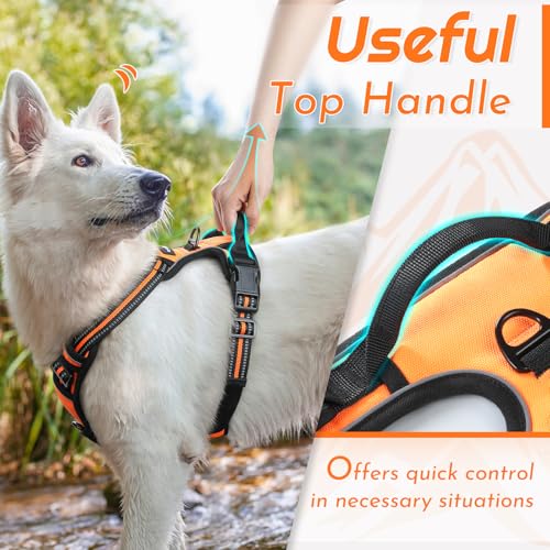 Dog Harness for Large Dogs (X-large / Orange)
