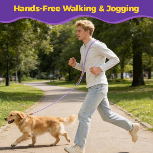 Hands Free Double Dog Leash 2 (Purple)