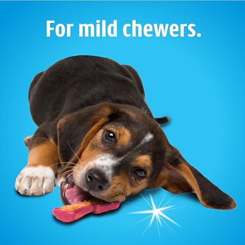 Chew 'n Clean Dental Duo Dog Treat & Chew Toy (X-Small (Pack of 6) / 6 Count)