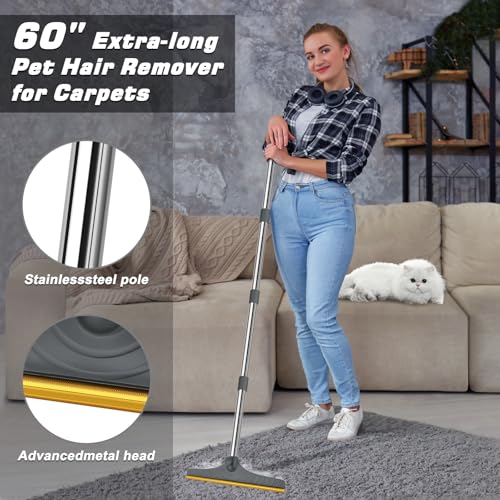 Carpet Rake for Pet Hair Removal (Gray)