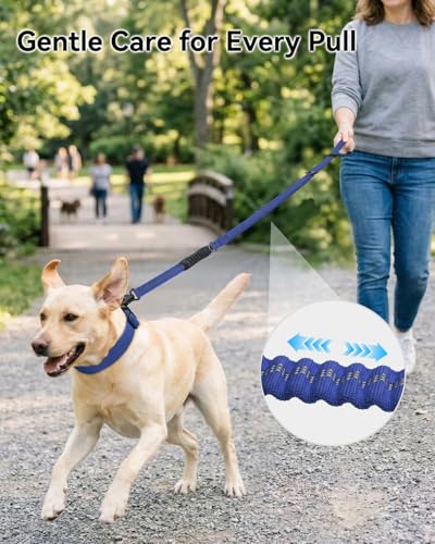 Tactical Bungee Dog Leash (Navy Blue)