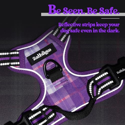 Dog Harness No Pull Medium Sized with 2 Leash Clips (Medium / Purple Plaid)