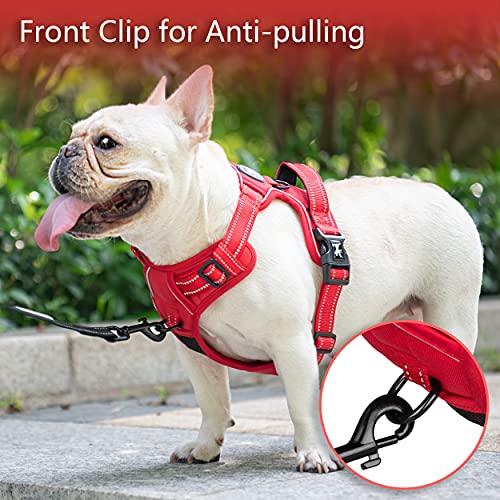 No Pull Dog Harness (S / Red(Matching Trim))