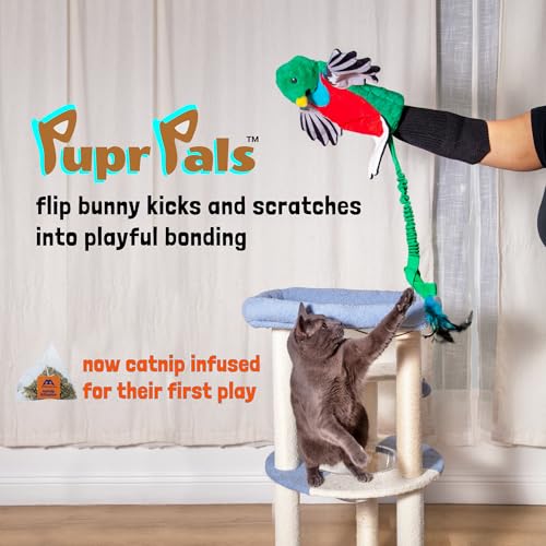Pupr Pals Cat Wrestling Glove (Large / Quetzal + Catnip)