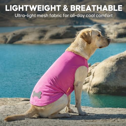 2Pack Dog Shirts for Large Dogs Breathable Mesh Tank Top (XXX-Large (55-75lbs) / 6# 2Pack (Ice Pop+Pink))