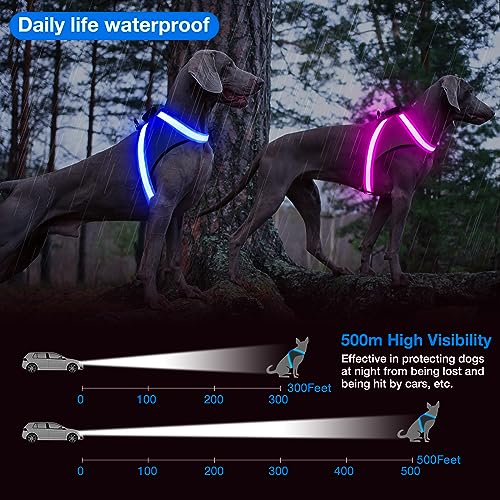 Light Up Dog Harness (Small / Blue)