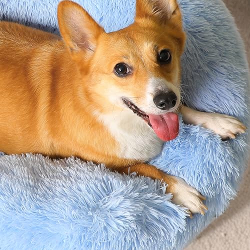 Western Home Calming Donut Small Medium Pet Dog Bed Washable (Light Blue / 27.0"l x 27.0"w x 8.0"th)
