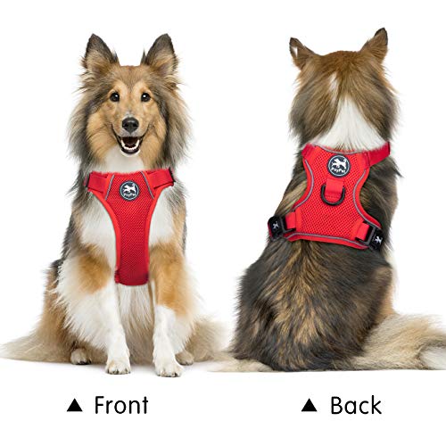 Mesh Dog Harness (XS / Red)