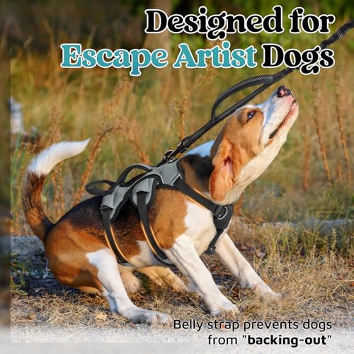 Escape Proof Dog Harness for Small (Grey / Small)
