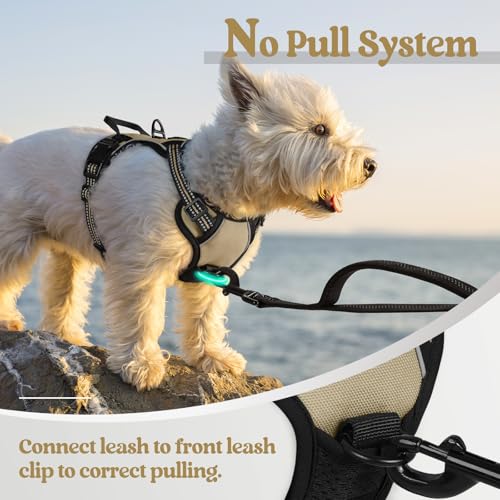 Dog Harness No Pull with 2 Leash Clips (X-Small / Beige)