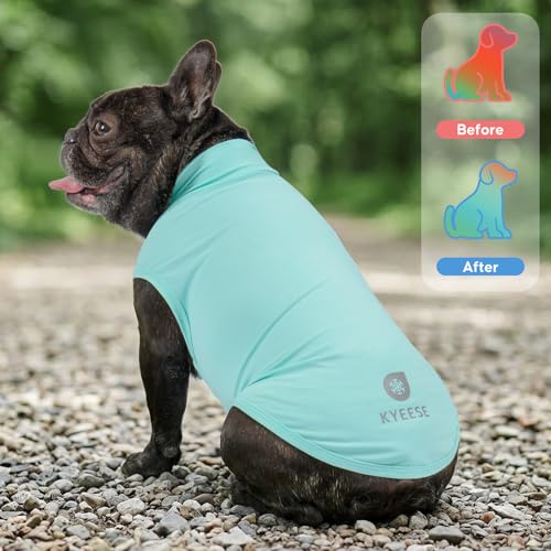 2Pack Dog Cooling Shirt with UPF 50+ UV Protection (Small (4-7lbs) / Blue)