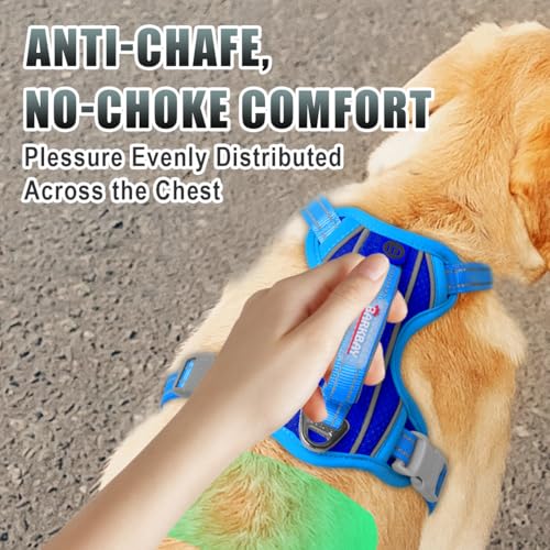 Dog Harness for Medium Sized Dog No Pull Dog Vest ID Tag Pocket (Sapphire Blue & Blue / Medium)