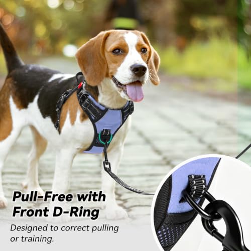 No Pull Dog Harness Small with Front Clip & Neck Release Buckle (S / Light Blue)