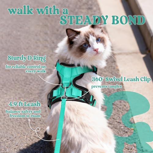 Cat Harness and Leash Set (S / Emerald)