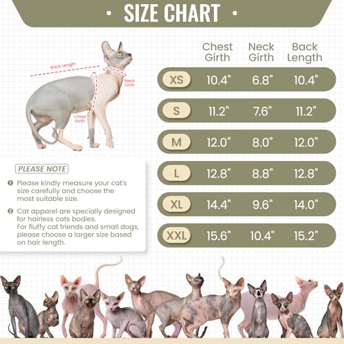 Hairless Cat Shirt (Small / Green)