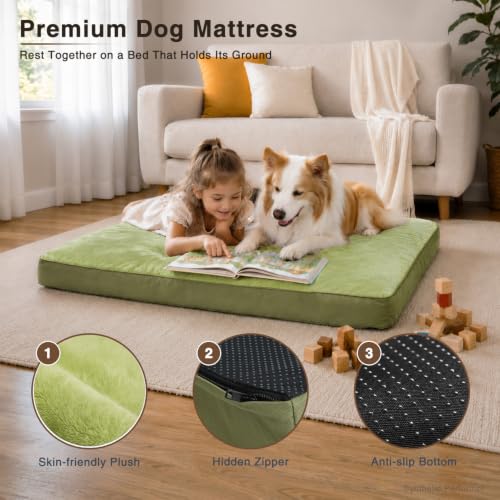 Waterproof Medium Dog Bed for Crate with Washable Cover (29.0"L x 18.0"W x 3.0"Th / Green)