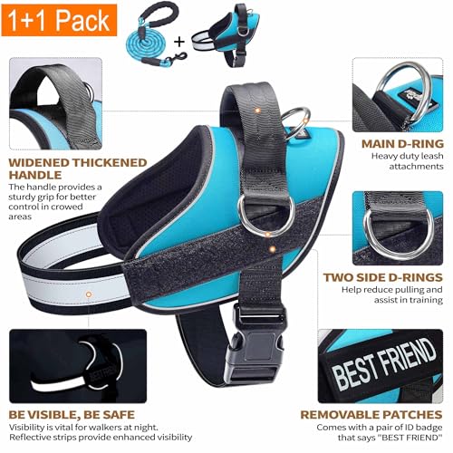Essential Dog Harness (XL / Blue)