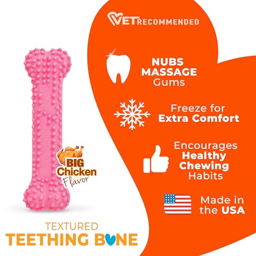 Puppy Chew Pink Textured Teething Dog Bone (Pink / X-Small)