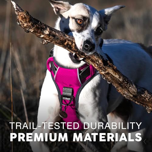 Embark No Pull Dog Harness (XL / Pink)