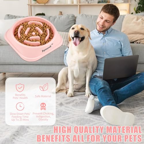 Slow Feeder Dog Bowls for Medium Dogs & Cats (Medium / Pink)