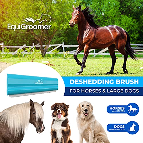 8 Inch Deshedding Brush for Dogs & Horses (Turquoise)
