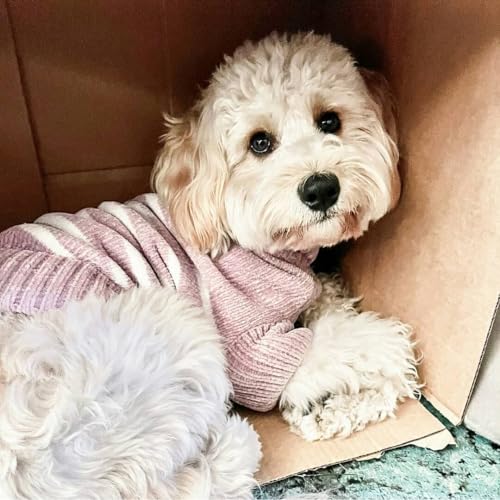 Cozy Soft Chenille Classy Striped Dog Sweater in Dusty Rose (22 inch / Dusty Rose)