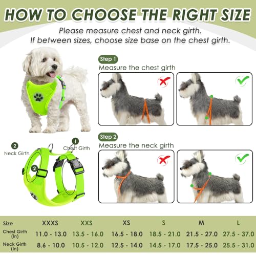 Dog Seat Belt and Harness for Car (Lime / XX-Small)