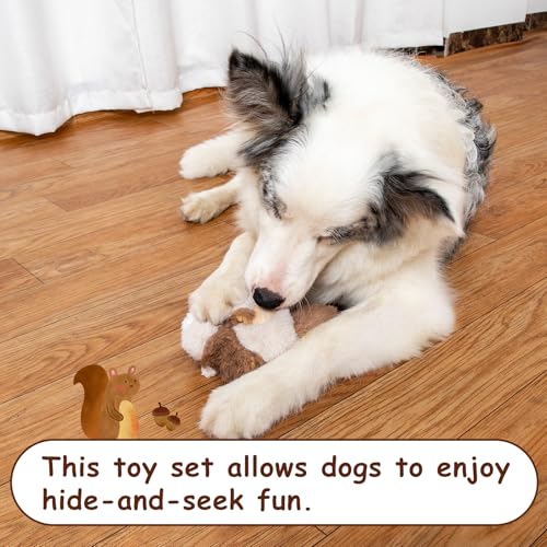 Squeaky Hide and Seek Dog Toys for Small and Medium (Pine Cone)