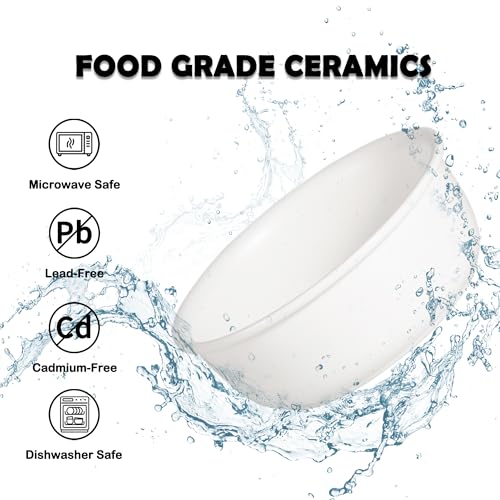 Ceramic Elevated Dog Bowl Set (Matte White / L × 2)