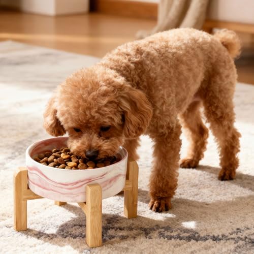 Elevated Raised Ceramic Dog Bowl with Bamboo Stand (Marble Pink / Medium)