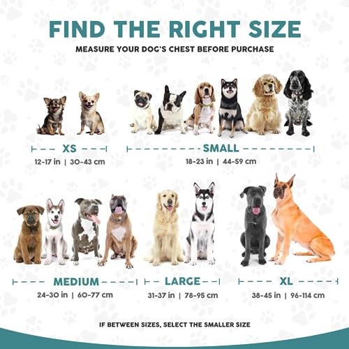 Embark No Pull Dog Harness (XL / Santa Monica)