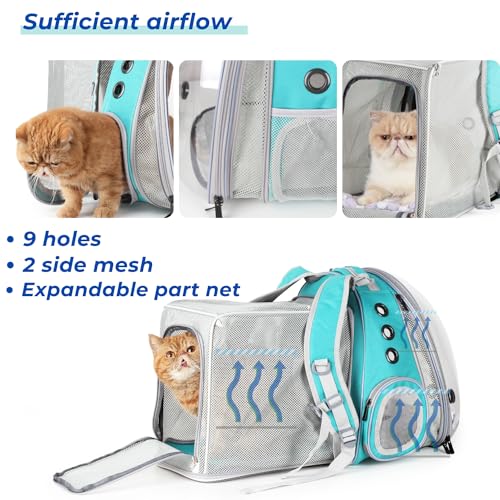Expandable Cat Backpack Carrier for Large Cats & Small Dogs (Dual Expandable-Green)