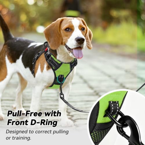 No Pull Dog Harness Large with Front Clip & Neck Release Buckle (XL / Green)