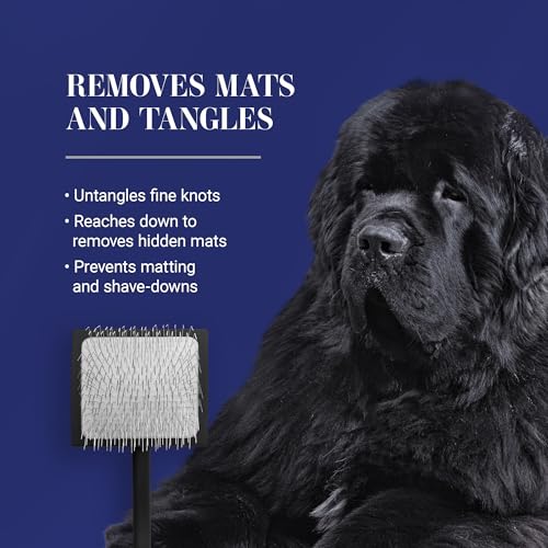 Baby K Dog Slicker Brush (Small / Black)