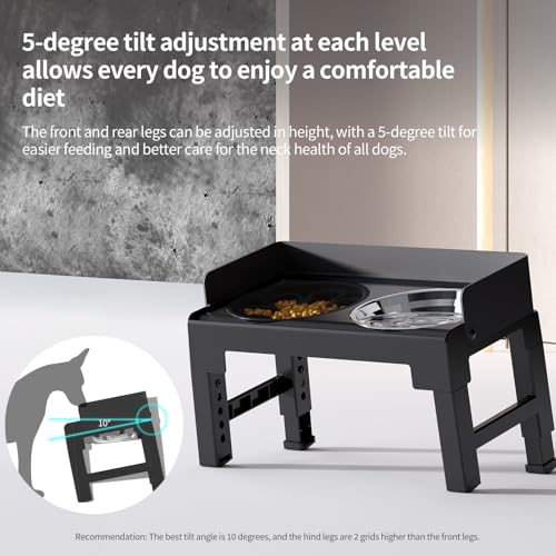 Elevated Dog Bowls for Medium and Large Dogs (1 Slow Feeder Bowl + 1 Stainless Steel Bowl / Black)