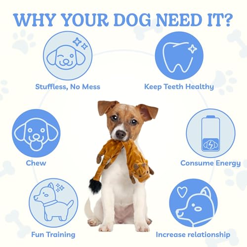 Dog Squeaky Toys Pack (Small / Bubble Plush-Cow)