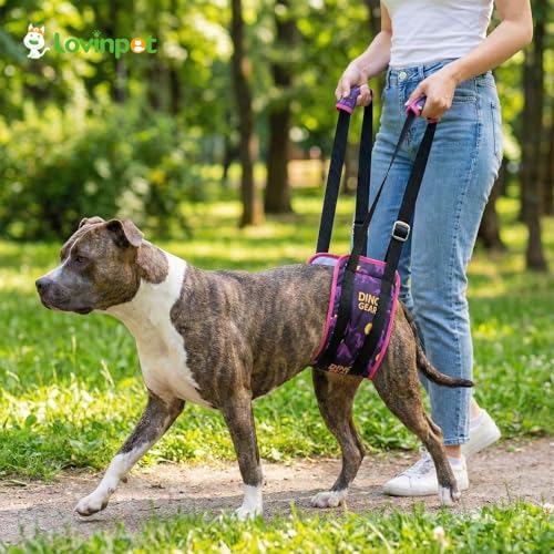 Dog Lift Harness Rear Support Sling (Purple)