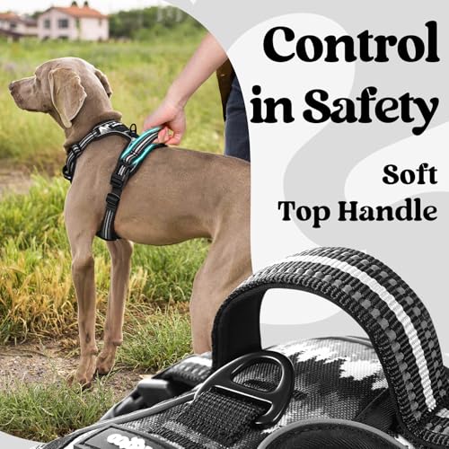 Dog Harness for Large (Large / Mountain Black)
