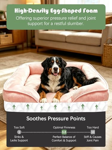 Orthopedic Dog Bed with Sides (48.0"L x 35.0"W x 8.0"Th / Pink)