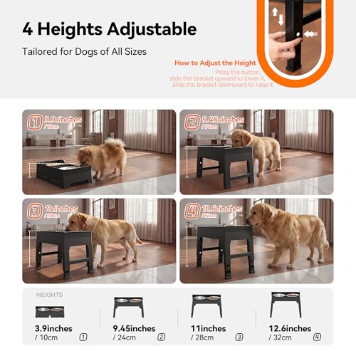 Elevated Dog Bowls
